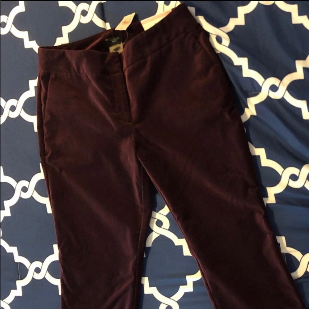 Ann Taylor Factory Burgundy Velvet Pants